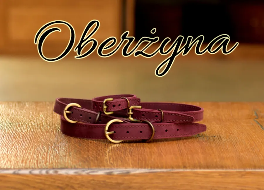 Obroże skórzane — zdjęcie 2